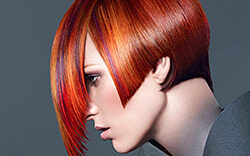 elumen_preview Elumen