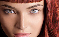 nectaya_preview Nectaya