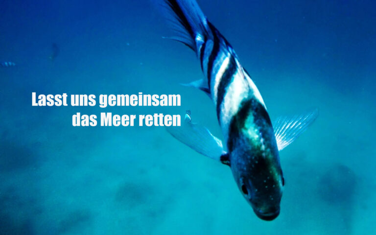 ozean-blogbild